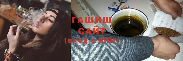 шишки Горно-Алтайск