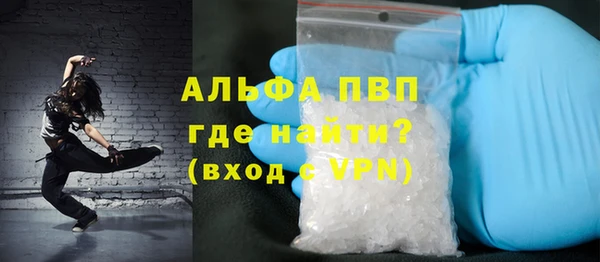 шишки Горно-Алтайск