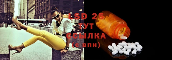 ECSTASY Горняк