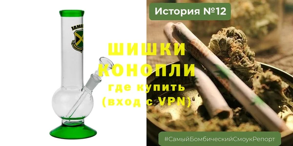 шишки Горно-Алтайск