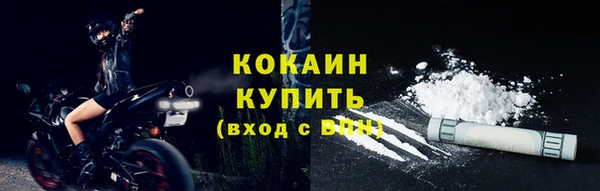 гидра Горнозаводск