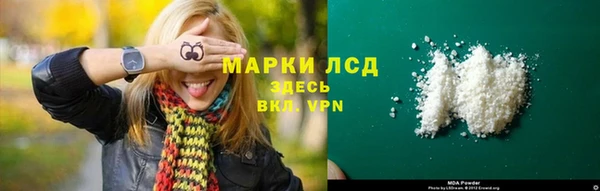 шишки Горно-Алтайск
