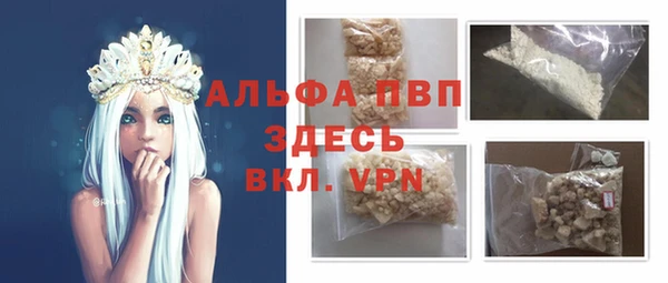 шишки Горно-Алтайск