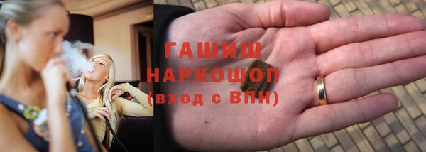 ECSTASY Горняк