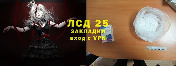ECSTASY Горняк