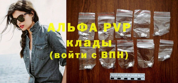 ECSTASY Горняк