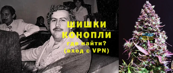 шишки Горно-Алтайск