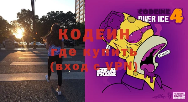 шишки Горно-Алтайск