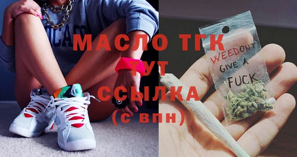 гидра Горнозаводск