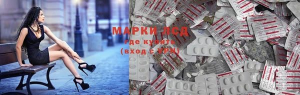 ECSTASY Горняк