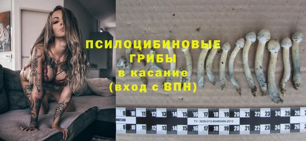 ECSTASY Горняк