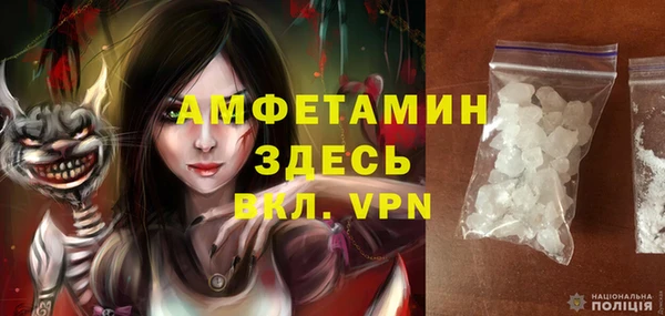 ECSTASY Горняк
