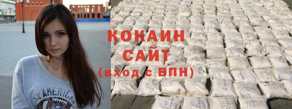 гидра Горнозаводск