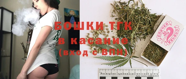 гидра Горнозаводск