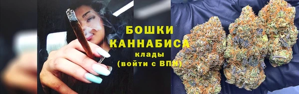 шишки Горно-Алтайск