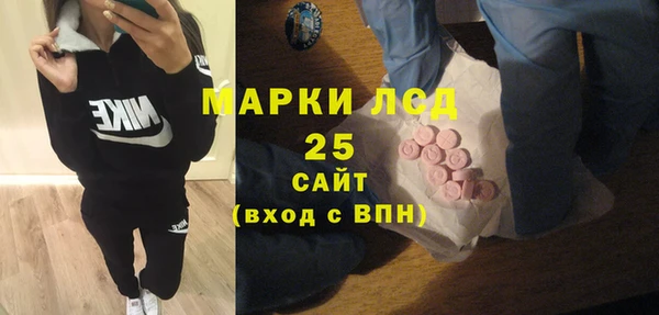 гидра Горнозаводск
